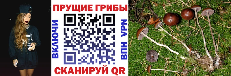 Купить где  Нытва  Галлюциногенные грибы ЛСД 